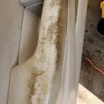 Auto Detailing